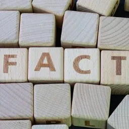 Fact Icon