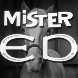 Mr. Ed