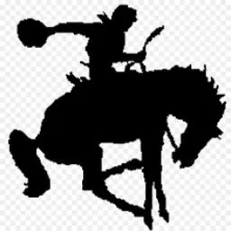 Rodre Ghorashi-Zadeh