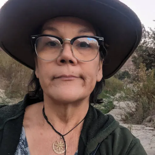 Lisa Chambless Wolfe