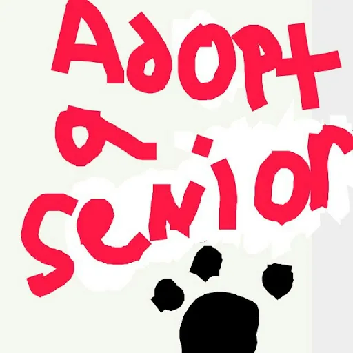 TheCatsMeow PrettyHorses