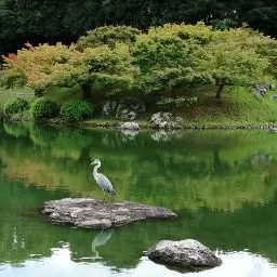 Iwasaki岩崎Tatsuro達朗