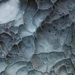 Alec “DaManpede” Wells