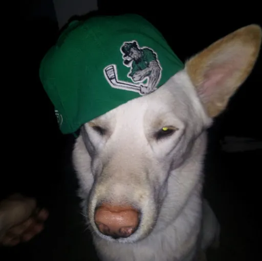 Craig Billings (KreigTheHeathen)