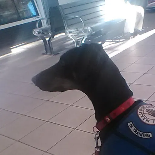 Shaun and Casi Adams