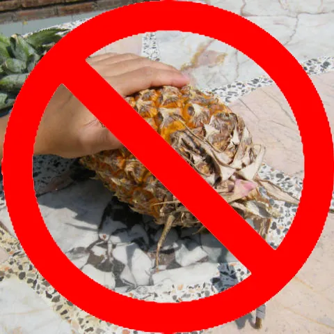 Don't touch my pineapples