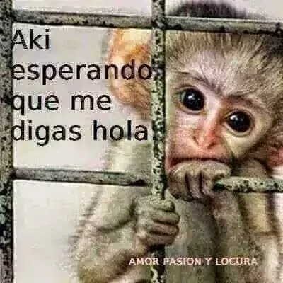 Alejandrina Villalongo