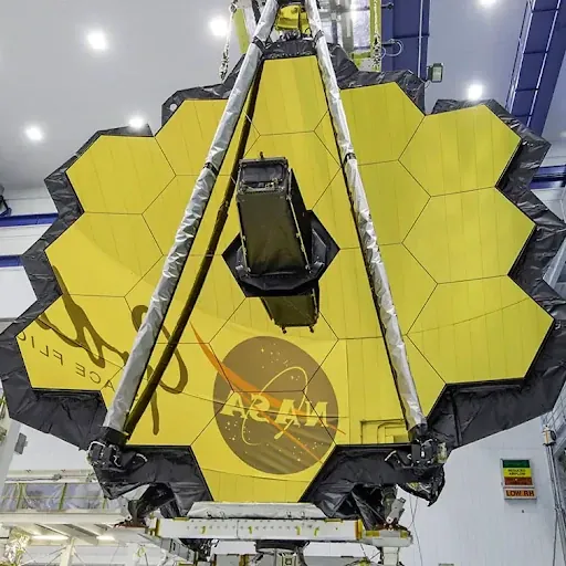 anatol gogoj (Pingwinos40)