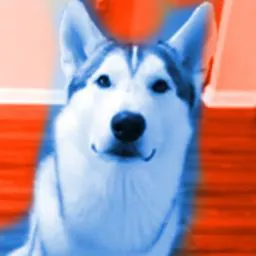 bluedify➊MrtigerBruhX