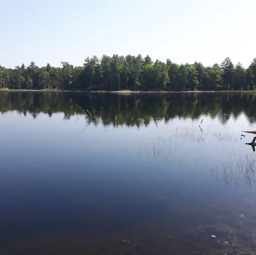 Colin Clarke (funnyfourwheelr)