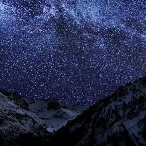 Natalie NapierRaikes