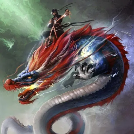 Solodragonrider
