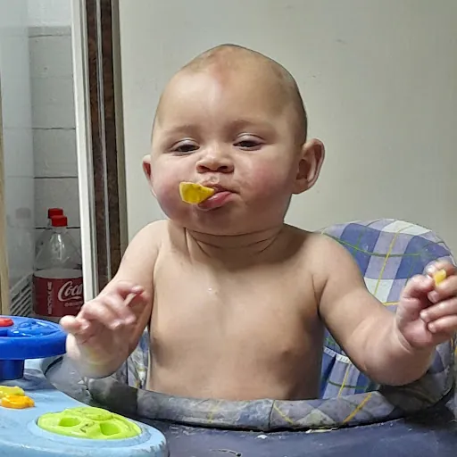 FalenDarkAngel Cod Mobile