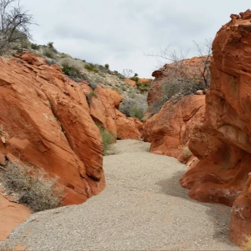 Mike “Guardrail” G