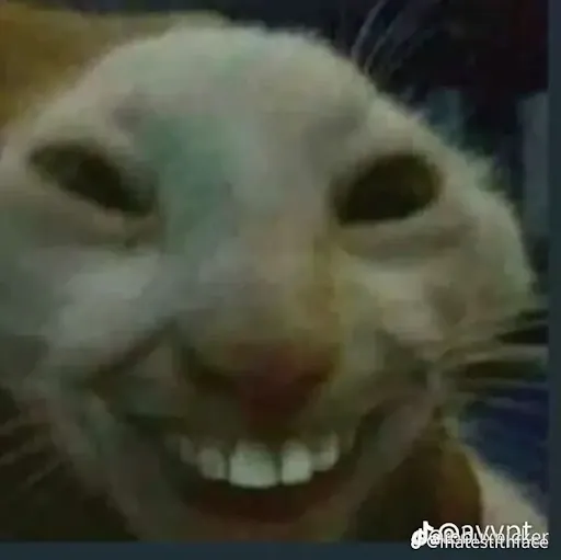 Rayez “Ray” Hernandez