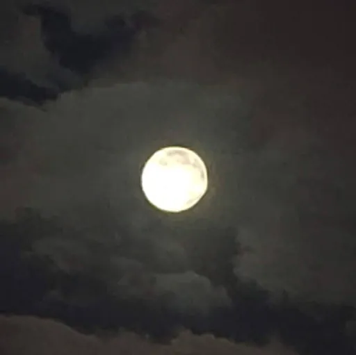 Juan Pablo Güereña