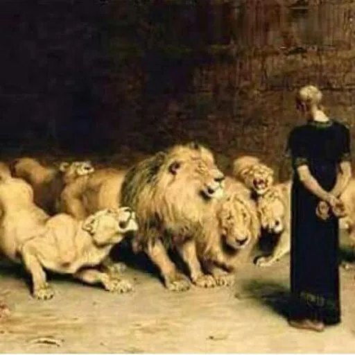 José David Alfonzo Marcano