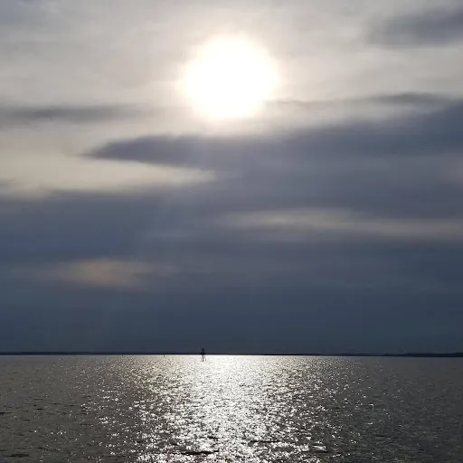 Jannice “Mariposa” W.