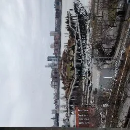 Aurora Jelly Criss Ramones