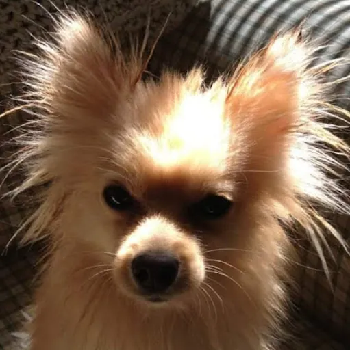 Charity “Cherdy”