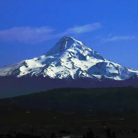 Northwest Sports Junkie