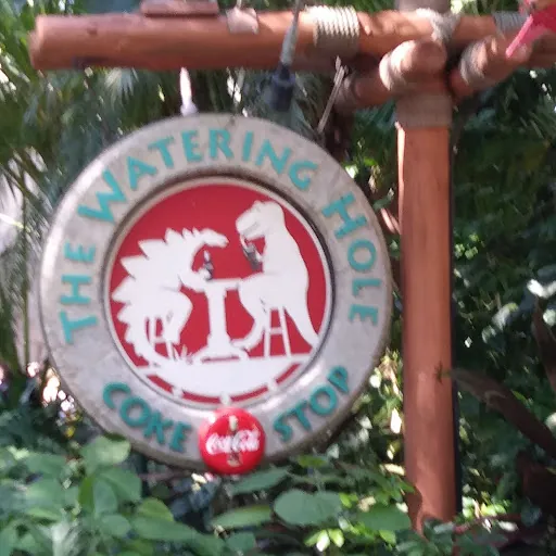 The Golden Little Phoenix