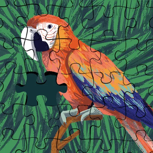 Heikosaito Heikosaito