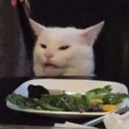 Mahamudul Hasan Shishir