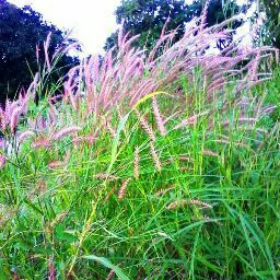 Abu Sideeq (Authority)