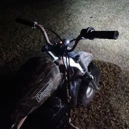 Craig “KarolinaKraig”