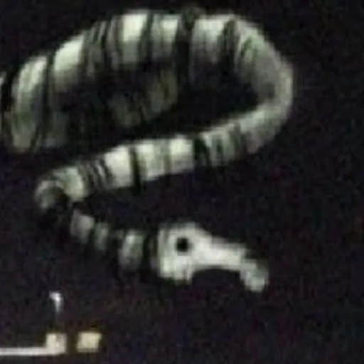 Pay (xcreepypasta_crewx)