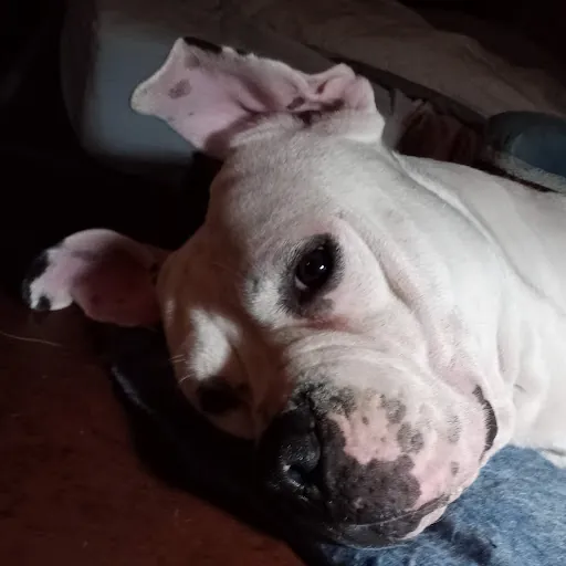 Corey Bakers Entertainment Channel