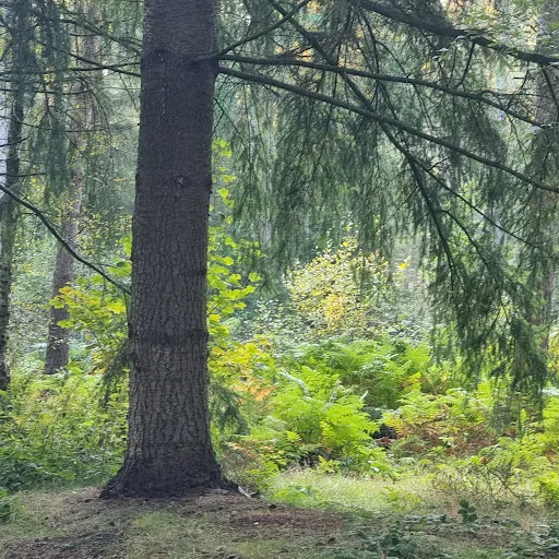 Emma Baxter (Emzyloo)