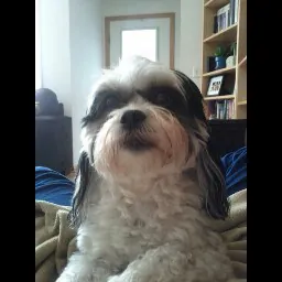 Noelle LaFontaine (NoelleJoy)