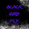 BlackBird Fly