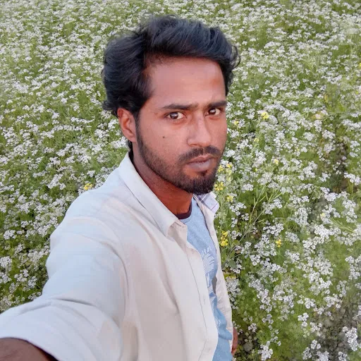 Mohammad ShamimMridha (MohammadSamimHossain)