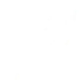 Shawn Mc Clinth Colarte