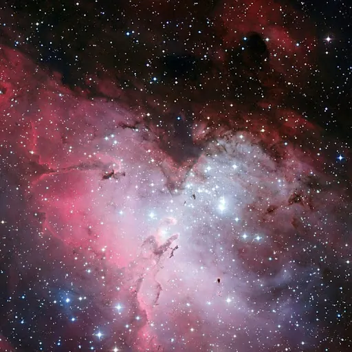 Jacob Bingham (UFTS)