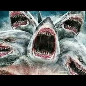 the1trueshark (Sharkmobile618)