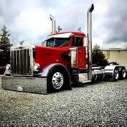 Mud Flap (Mr.MudFlap)