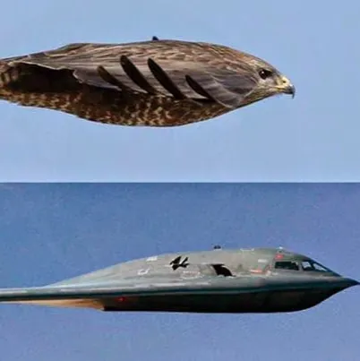 Bogdan A “MigM” M