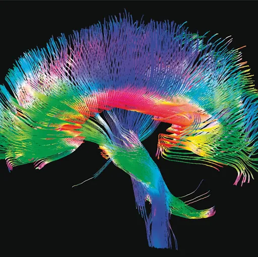 Haroon Shami (Dr Philosophous)