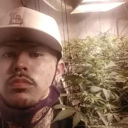 Terp Diggler The Cultivator