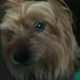 David A Rosseter 3.0