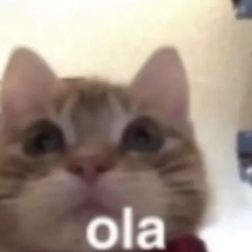 First Name Last Name