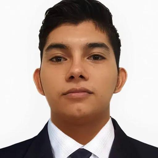 Francisco Javier Mendoza Licea