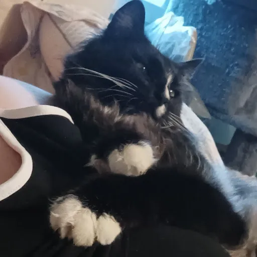 Ophelia Anais Nightser-Kelly