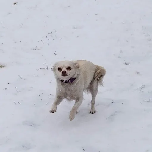 Maria Coccia (septemberlove9)