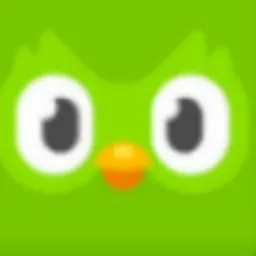 Bailese Pau Shoulize