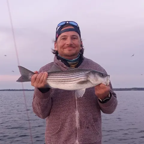 Hunter F. (Swellhunter006)